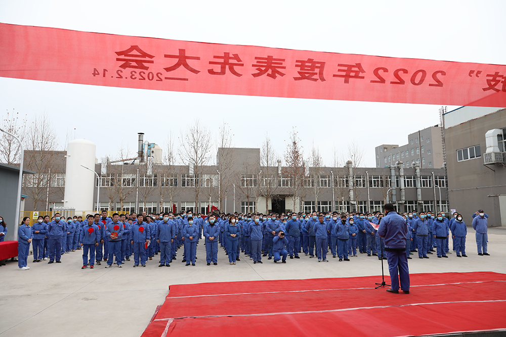 公司召开2022年度表先大会